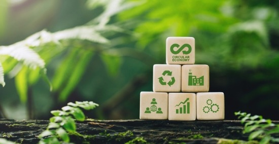 curso universitario en medio ambiente e ISO 14001