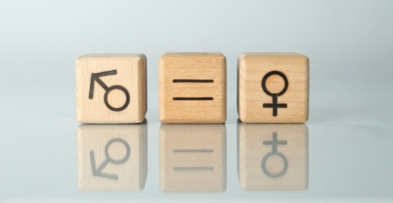 curso en Igualdad de Género y Protocolo LGTBI